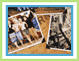 Princess Cruises & Explore America Brochures
