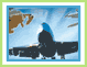 Hydraulics International Corporate Brochure