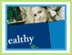 Strictly Healthy: Product Catalog